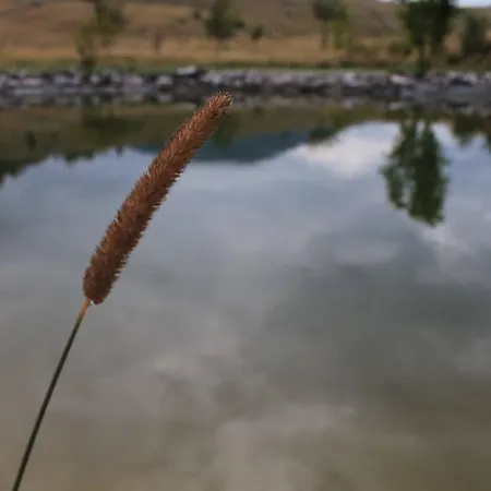 Mountain House Varda Vila Ledenice