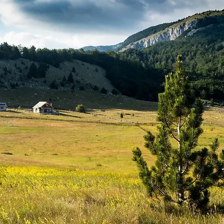 Vila Mountain House Varda