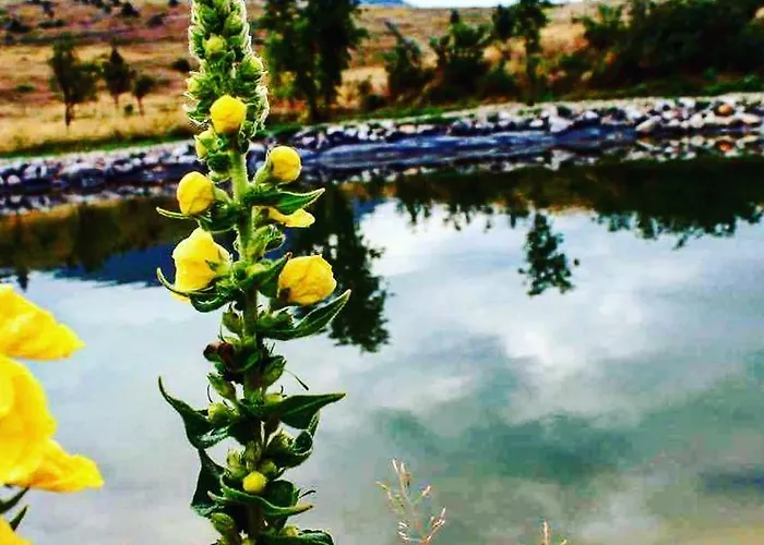 Mountain House Varda Villa