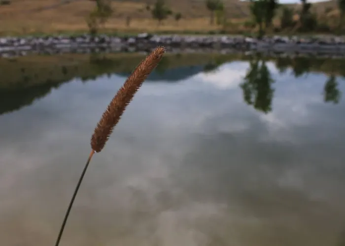 Mountain House Varda Villa Ledenice